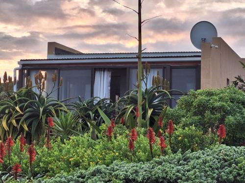 Κήπος έξω από το 14 Penguin Place, Melkbosstrand