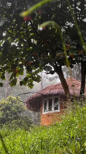 a building with a thatch roof and a window at Punarjani Ayurvedic Resorts in Ramakkalmedu