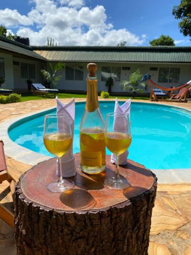a bottle of wine and two glasses on a tree stump at Karanga River Lodge in Moshi