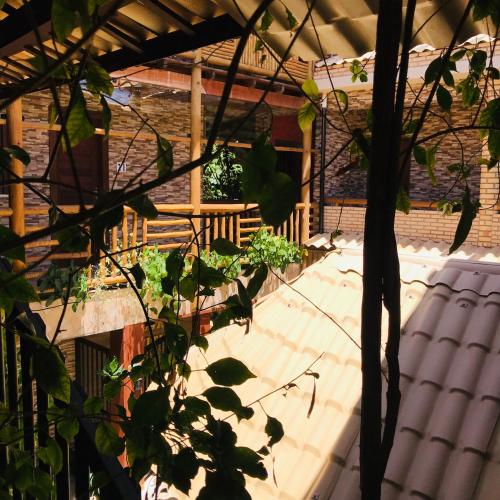 Un jardín fuera de Hotel Pousada Latitude