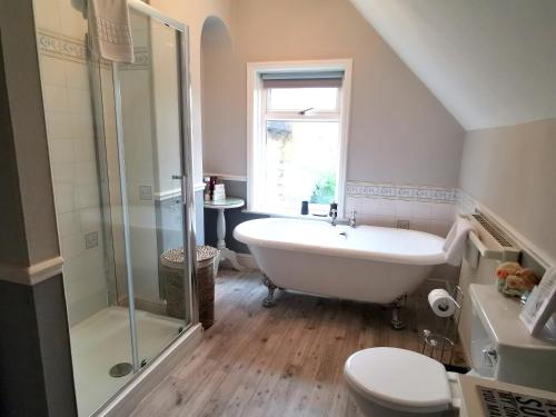 a bathroom with a tub and a shower and a toilet at Glenberis in Hunstanton