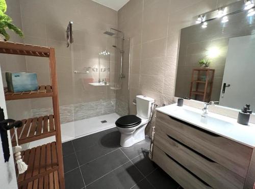 a bathroom with a toilet and a shower and a sink at Bonita Planta baja en Err con wifi in Err