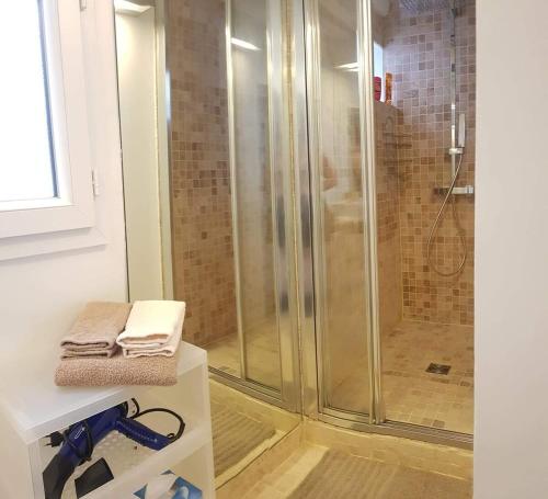 La salle de bains est pourvue d'une cabine de douche en verre. dans l'établissement Bastille - Lappe - Quartier anime, à Paris