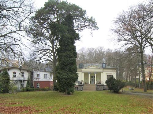 une grande maison blanche avec un arbre dans la cour dans l'établissement Tarnowskis Villa Seeblick, nur 50m zum Strand, WLAN inkl, à Neuhof