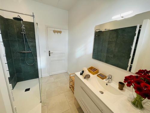 uma casa de banho com um lavatório e um chuveiro com um espelho. em Anglet - maison neuve - Proche domaine du Pignada em Anglet