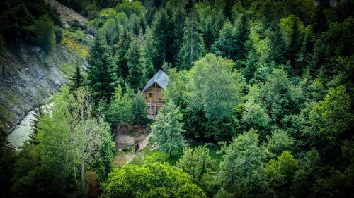 a small cabin in the middle of a forest at Mestia Eco Huts in Mestia
