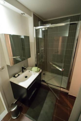une salle de bain avec un lavabo et une douche en verre dans l'établissement Montmartre - Ruisseau - magnifique appartement artistique, à Paris