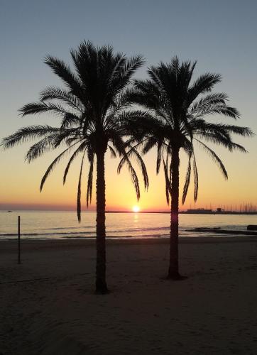 two palm trees on the beach at sunset at Acacia Marina in Marina di Ragusa