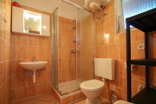 een badkamer met een douche, een toilet en een wastafel bij David One in Novigrad Istria