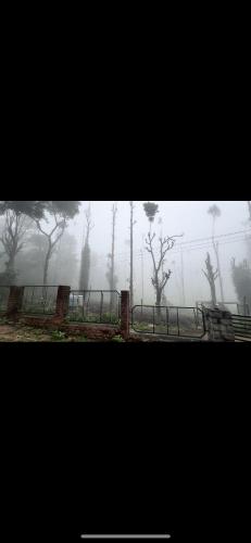 clôture dans un champ planté d'arbres dans le brouillard dans l'établissement Sai, à Ambātturai