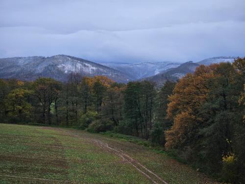 a field with trees and mountains in the background at Złota Widokówka in Jaworze