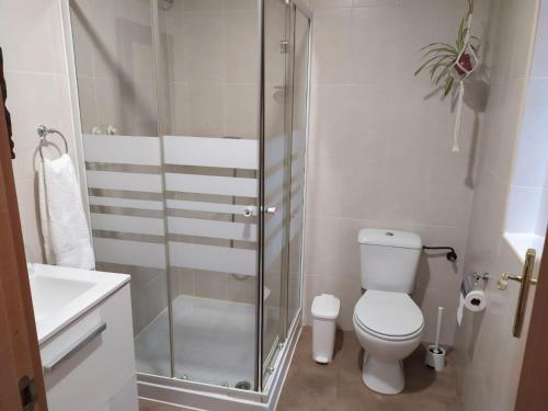 ein Bad mit einem WC und einer Glasdusche in der Unterkunft Alojamiento Oviedo 1 in Oviedo