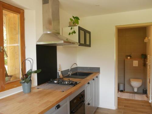 a kitchen with a sink and a stove top oven at Studio 2 personnes - lumineux - Lac d'Annecy in Lathuile