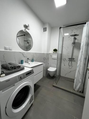 a bathroom with a washing machine and a shower at Cozy place in Baia Mare