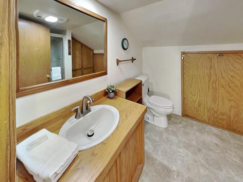 a bathroom with a sink and a toilet and a mirror at Quiet Mountain Hideaway in Alto