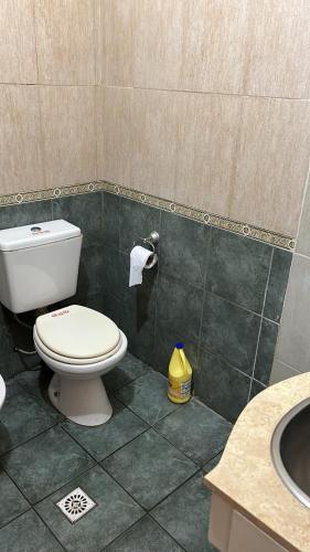 La salle de bains est pourvue de toilettes et d'un lavabo. dans l'établissement Karina s Apartment Ezeiza, à Monte Grande