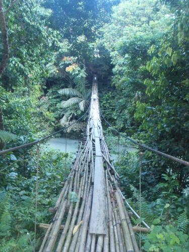 a suspension bridge in the middle of a forest at Mountain View Cottages & Villa Tangkahan in Tangkahan