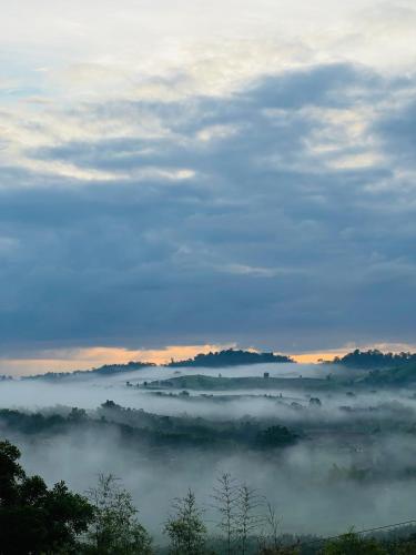 a blanket of fog in a field with trees and mountains at เอนกาย อิงเขา (Anguyingkhao) in Khao Kho