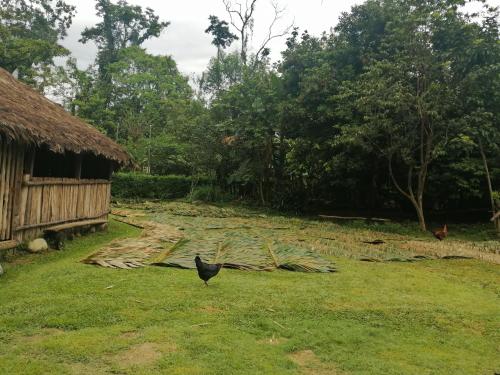 Φωτογραφία από το άλμπουμ του Ditsokata Ú σε Talamanca