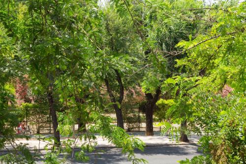 Veoapartment Jardines Murillo