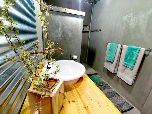 a bathroom with a sink and a shower at Duiker's self catering Accommodation in Askham