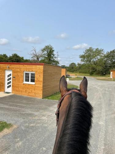 une personne faisant de l'équitation devant un bâtiment dans l'établissement Les Chalets du Mancel : Studio June - 24H du Mans - Bouleries Jump -, à Parence