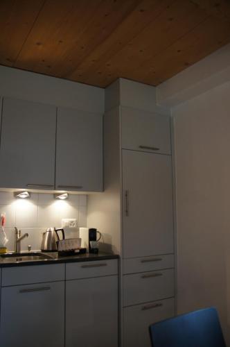 a kitchen with white cabinets and a white refrigerator at Chasa Pro La Tuor Pitschna in Ardez