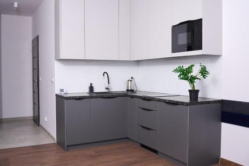 a kitchen with white cabinets and a potted plant at Top Loft Znana in Warsaw