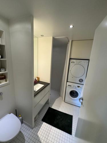 a bathroom with a sink and a washing machine at Cute Pug Guest Room in Copenhagen