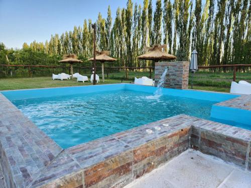 a pool with a water feature in a yard with trees at Casa de Campo Flor Dorada in Centenario