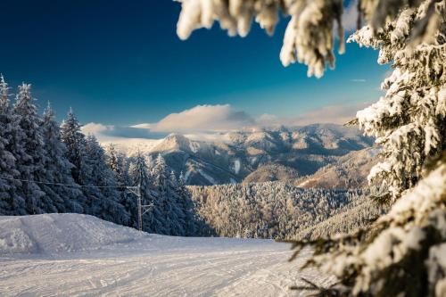 a snow covered slope with trees and mountains in the background at Hotel Sachticka in Banská Bystrica