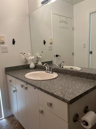 a bathroom counter with a sink and a mirror at Laid Back In Langford in Langford