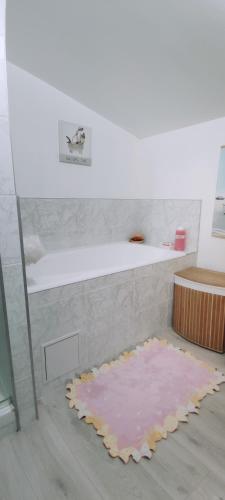 uma casa de banho com um tapete rosa no chão em Studio Propre et Cosy em Le Mesnil-en-Vallée