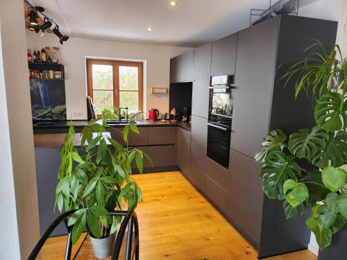 Η κουζίνα ή μικρή κουζίνα στο Exclusive 120 qm Wohnung am Wössner