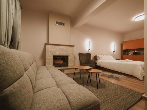 a living room with a couch and a bed and a fireplace at Elati Leisure Suites & Apartments in Elati Trikalon