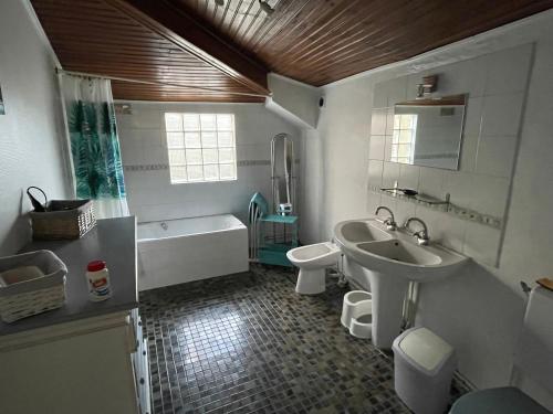 ein Badezimmer mit einem Waschbecken, einer Badewanne und einem WC in der Unterkunft Le Chalet in Saint-Germain-en-Laye