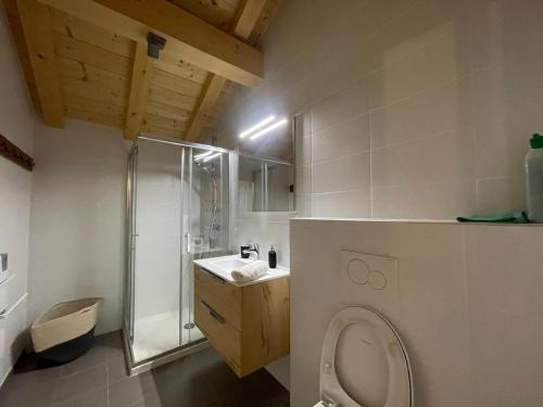 a bathroom with a toilet and a shower and a sink at Chalet Sixt-Fer-à-Cheval, 6 pièces, 13 personnes - FR-1-624-132 in Sixt