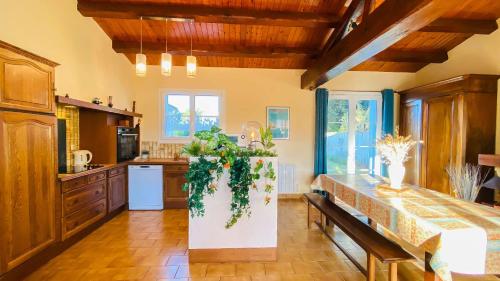 une cuisine avec une table et une plante. dans l'établissement Villa au calme à proximité de la mer, à La Couarde-sur-Mer