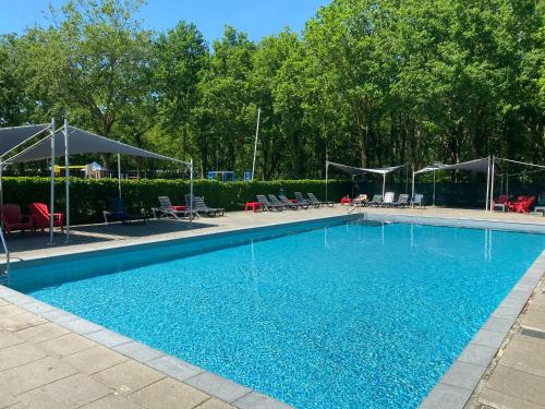 une piscine bleue avec des chaises et des parasols dans l'établissement Holiday park Duinhoeve, à Udenhout