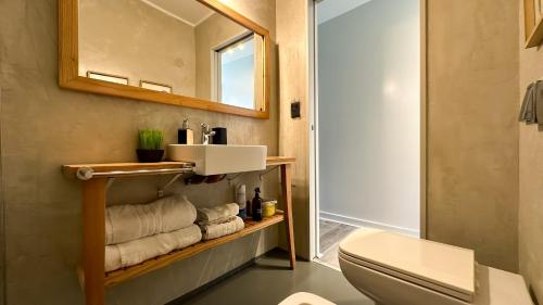 een badkamer met een toilet, een wastafel en een spiegel bij Soho Rentals in Buenos Aires