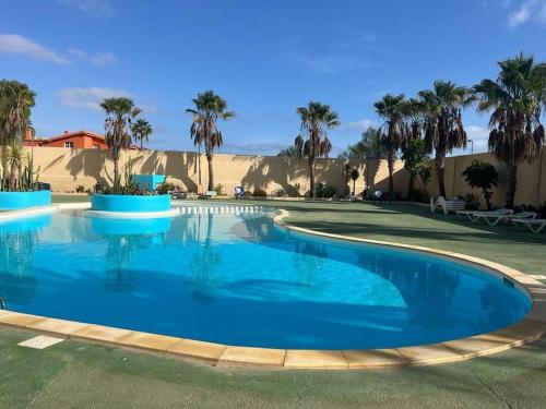 een groot blauw zwembad met palmbomen op de achtergrond bij Casa Cactus Paraiso in Parque Holandes