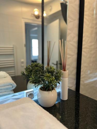 two potted plants sitting on a counter in a bathroom at Appart' Studio cooconing - Champs Elysées - NETFLIX in Maisons-Laffitte