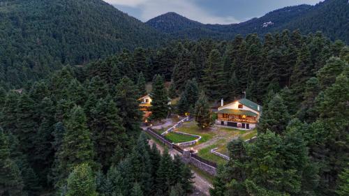 Dandy Villas Elatodasos - Chalet Artemis - Fir Forest - Jeep & Nature Lovers
