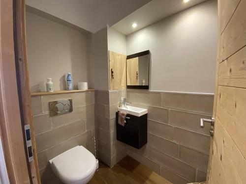 a bathroom with a toilet and a sink at Chez Inès - Duplex pour 10 à 12 plein centre in L'Alpe-d'Huez