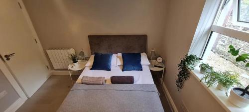 sypialnia z łóżkiem z niebieskimi poduszkami i oknem w obiekcie Blima Central Rooms w Dublinie