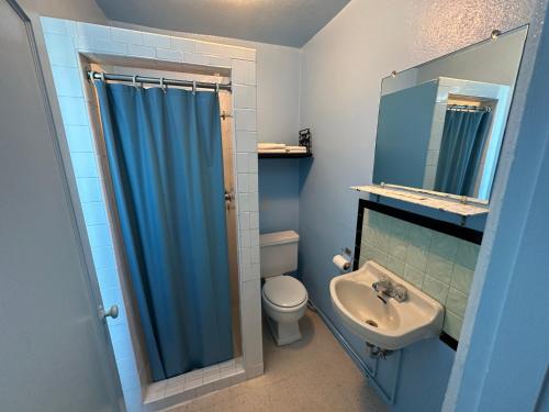 ein Bad mit einem WC und einem Waschbecken in der Unterkunft Maverick Motel in Raton