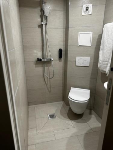 La salle de bains est pourvue d'une douche et de toilettes. dans l'établissement Hôtel Akena Pierrelaye, à Pierrelaye