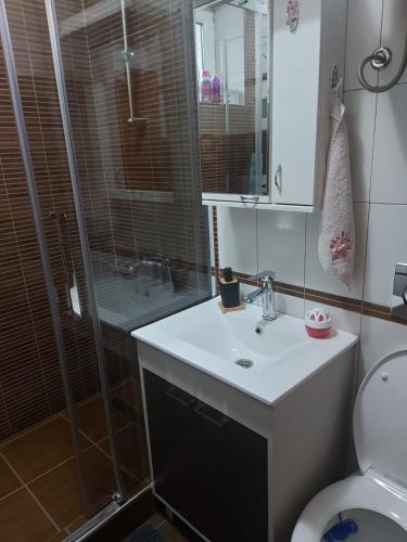 a bathroom with a shower and a sink and a toilet at Apartment Slađana in Subotica