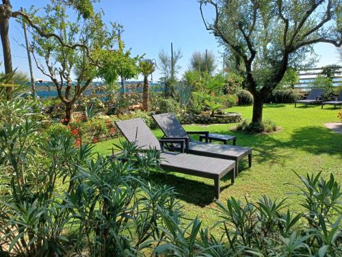 a bench sitting in the grass in a park at Hotel Viña del Mar Pineta in Lido di Jesolo