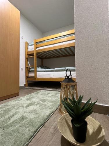 a room with two bunk beds and a table with a plant at Villa Dejana Vlašić in Šišava